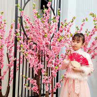 uploads/erp/collection/images/Home Garden/CongDing/XU0610955/img_b/XU0610955_img_b_3